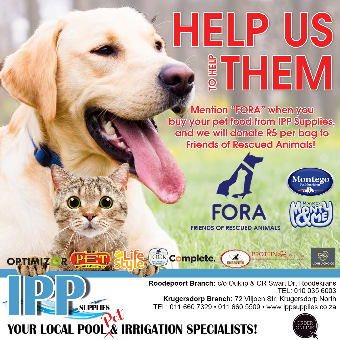 IPP FORA Website